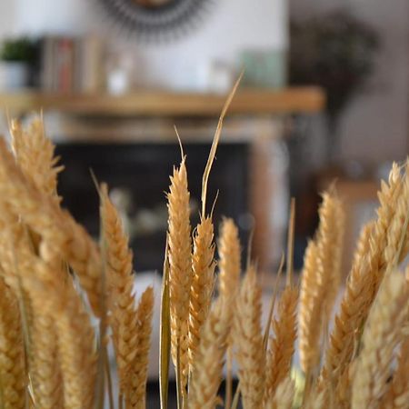 Finca Paredes Valdetorres de Jarama 외부 사진