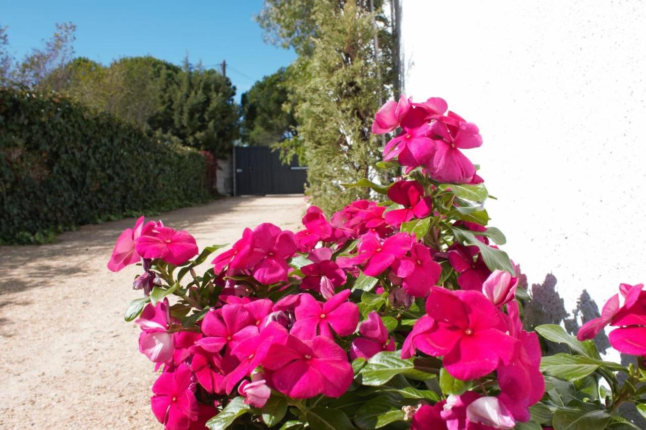 Finca Paredes Valdetorres de Jarama 외부 사진