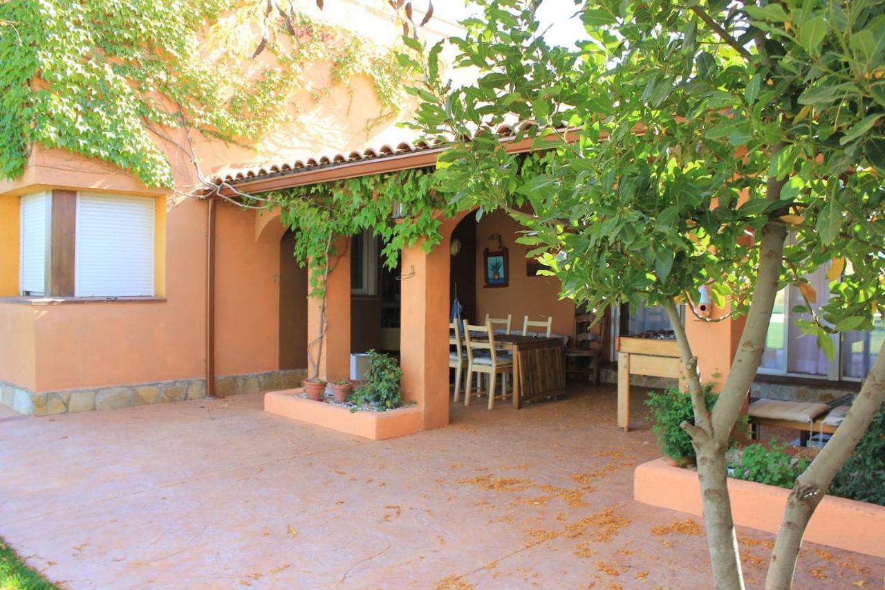Finca Paredes Valdetorres de Jarama 외부 사진