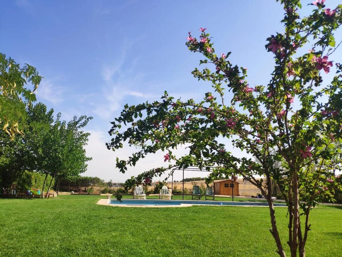 Finca Paredes Valdetorres de Jarama 외부 사진